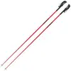 Faction Skis Bâtons