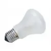 ELINCHROM lampe pilote 100W 196V pour torche D-lite