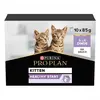 Purina PRO PLAN Healthy Start Kitten en sauce à la Dinde - Pâtée pour chaton