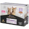 Purina Aliment pour chat junior Pro Plan KITTEN en sauce à la dinde 10 x 85g
