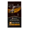 12kg NF Renal Function Purina Veterinary Diets - Croquettes pour chien