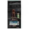 Pro Plan - Croquettes Puppy Large Athletic Sensitive Digestion : 12kg