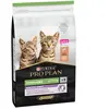 10kg PRO PLAN Sterilised Kitten riche en saumon - Croquettes pour chaton