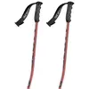 Scott Bâtons Team Issue Gs
