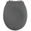 Spirella Abattant WC Thermo Dur NEELA Gris Mat - Charnières ABS Chromé
