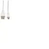 ROLINE VALUE - Câble USB - USB (M) pour mini USB type B (M) - USB 2.0 - 3 m - blanc