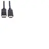 ROLINE Câble DisplayPort DP - HDTV St/St - Noir - 1,5 m