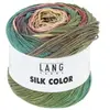 Pelote exceptionnelle de soie SILK COLOR - 100 GR - Lang Yarns 06 Mult...
