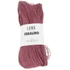 GENERIQUE Pelote de lin CREALINO - Lang Yarns(...) - 0062 Rouge vin