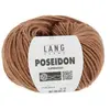 GENERIQUE Pelote de laine Vierge Poseidon - Lang Yarns(...) - 15 Marron