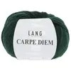 Pelote de Laine et Alpaga à tricoter CARPE DIEM - Lang Yarns 0118 Vert...