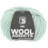 GENERIQUE Pelote de laine FIRE - 100GR - Wool Addicts(...) - 0091 Vert