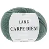Pelote de Laine et Alpaga à tricoter CARPE DIEM - Lang Yarns 0093 Vert...