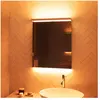 Schneider BORDO Miroir, 197.060.01.50, ALU1/SP 60/TW