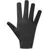 Suarez Gants Summit