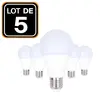 Europalamp - 5 Ampoules led E27 20W 3000K Blanc Chaud Haute Luminosité