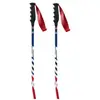 Swix Bâtons World Cup Pro Sg Carbon