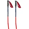 Swix Bâtons World Cup Pro Super-g