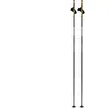 Swix Bâtons Dynamic D3