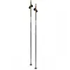 Swix Bâtons Dynamic D3