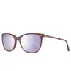 Helly Hansen harnais lunettes de soleil femme brun