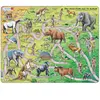Larsen Puzzle Cadre - The Road From Ape to Human (en Anglais) HL3-GB