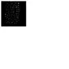 Guirlande rideau façade 171 ampoules Leds bleu