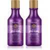 INOAR Absolut Speed Blond ensemble pour cheveux blonds 2x250 ml