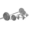 GORILLA SPORTS Set complet d'haltères et disques en fonte + barres 105,5 Kg