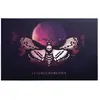 Lethal Cosmetics - Palette Midnight Serenade Fard à paupières 15 g uni...