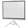 Celexon Economy Pied 244 x 183 White