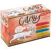 12x100g 4 saveurs Bouchées en gelée de légumes Catessy - Sachets et Boîtes pour Chat