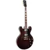 Hollowbody Hbw-102H-Ds