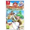 ININ Games Wonder Boy Asha in Monster World Nintendo Switch Nintendo Switch