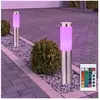 Lot de 2 lampes sur pied d'extérieur en acier inoxydable rgb led jardi...