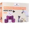 6 x boîte de pansements autocollants Coeur PAWS & PATCH, pour chien
