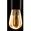 SEGULA LED Illusion ST64 Crescent E27 4W à intensité variable fumée