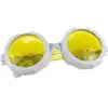 Lunettes de vision insecte