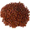 LEGO® 1x1 briques rondes rouge-brun - 3062b NOUVEAU ! Quantité 250x