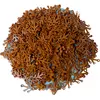 LEGO® 4x3 Feuilles Branches Feuilles Vertus Plantes Orange foncé - 241...