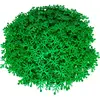 LEGO® 6x5 Feuilles Branches Feuilles Plantes Vert foncé - 2417 NOUVEAU...