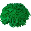 LEGO® 8x3 Feuilles de palmier Feuilles de plantes Vert - 6148 NOUVEAU ...