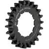 Gates Carbon Drive Pignon Cdx Expedition Rohloff 22t