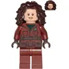 LEGO Star Wars : La devise de Peli