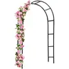 Deuba Arche de jardin 240x140x37cm Support pour plantes grimpantes Arche à rosiers Tuteur Décoration extérieure