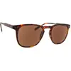 I Need You Reading Sun Playa Tortoise/Brown