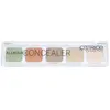 Palette Correcteur AllroundCatrice