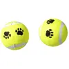 Bubimex Balle de Tennis pour Chien 2 Pièces