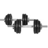 Set d'haltères courts de 30 KG avec disques en fonte - Gyronetics E-Se...