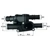 MAHLE Behr Thermot-Tronik TM 1 105 Thermostat d'eau